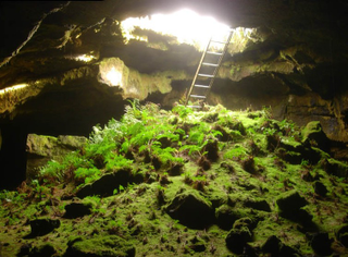 Illustration for article titled Inside California's Crystal Ice Cave